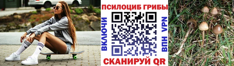 кракен как войти  Коломна  Галлюциногенные грибы Magic Shrooms  даркнет сайт 