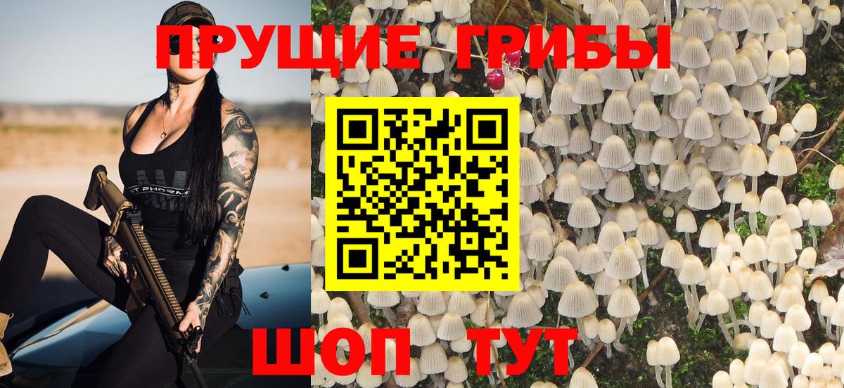 Галлюциногенные грибы Psilocybe  Вход с VPN  Коломна 