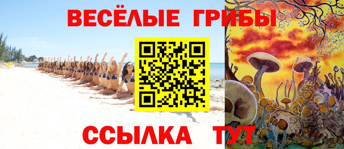 Псилоцибиновые грибы MAGIC MUSHROOMS Коломна